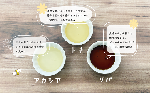 ＜おとべのはちみつ アソートセット1個＞天然 アカシア トチ そば蜜 セット