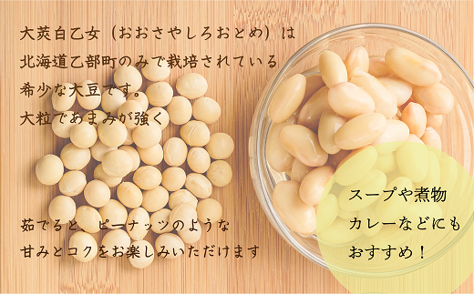 ＜大莢白乙女大豆 1袋＞大粒で甘い乙部町地大豆 北海道 北海道産 道産 国産 国産大豆 乙部町 地大豆 特産品 大豆 甘い 大粒 コク
