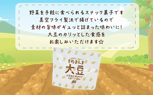 ＜大莢白乙女フライ 1個セット＞北海道 北海道産 大莢白乙女 大豆 フライ そのまんま そのまんまシリーズ