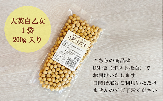 ＜大莢白乙女大豆 1袋＞大粒で甘い乙部町地大豆 北海道 北海道産 道産 国産 国産大豆 乙部町 地大豆 特産品 大豆 甘い 大粒 コク