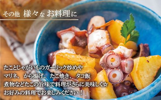 ＜漁師の浜ゆでたこ1kg＞北海道 道産 乙部町 乙部町産 蛸 タコ たこ足 タコ 刺身 唐揚げ おかず