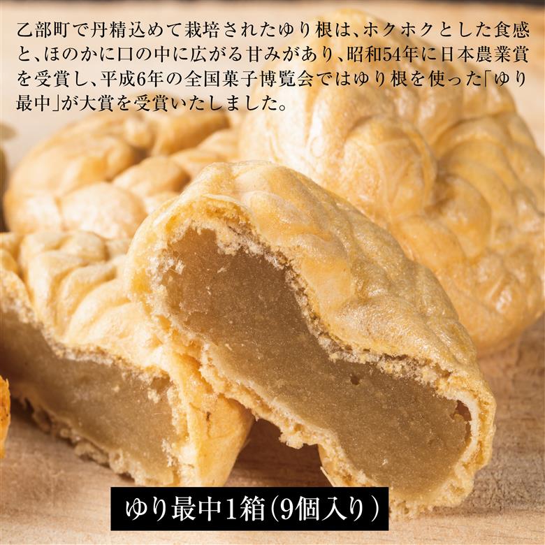 ＜富貴堂　黒千石もなか 1箱(5個入)　ゆり最中 1箱(9個入)＞ 北海道 道産 国産 乙部町産 ゆり根 高級ゆり根 黒千石大豆