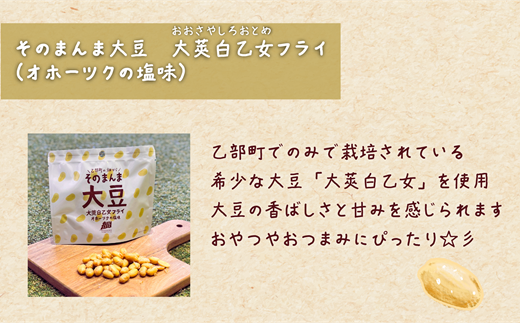＜大莢白乙女フライ 1個セット＞北海道 北海道産 大莢白乙女 大豆 フライ そのまんま そのまんまシリーズ