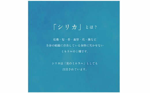 ＜Gaivota炭酸水 1箱(300ml×12本/箱)＞北のハイグレード食品 天然シリカ 炭酸水 北海道 乙部町