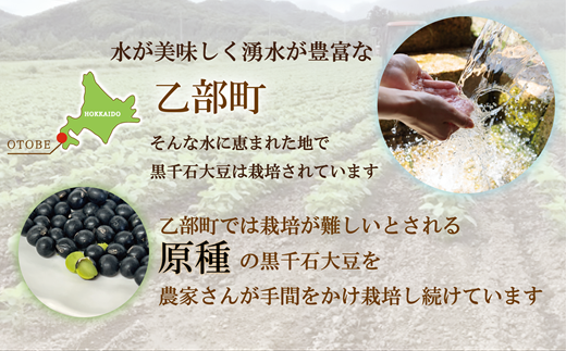 ＜サクパリッ！ 1袋＞焙煎した黒千石大豆がクセになる味わい！