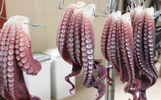 ＜漁師の浜ゆでたこ1kg＞北海道 道産 乙部町 乙部町産 蛸 タコ たこ足 タコ 刺身 唐揚げ おかず