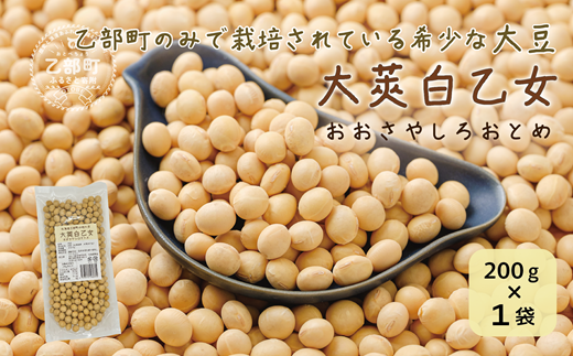 ＜大莢白乙女大豆 1袋＞大粒で甘い乙部町地大豆 北海道 北海道産 道産 国産 国産大豆 乙部町 地大豆 特産品 大豆 甘い 大粒 コク