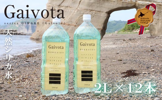 ＜Gaivota 2箱(2L×6本/箱)＞北のハイグレード食品 天然シリカ水 ミネラルウォーター 軟水