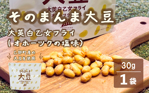 ＜大莢白乙女フライ 1個セット＞北海道 北海道産 大莢白乙女 大豆 フライ そのまんま そのまんまシリーズ