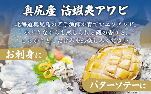 奥尻産活蝦夷アワビ（養殖）５個入り 70mm以上 OKUF003