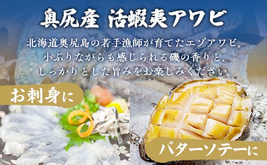 奥尻産活蝦夷アワビ（養殖）１０個入り 70mm以上 OKUF004