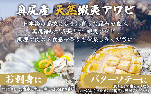 【2025年10月下旬以降発送】奥尻産天然アワビ１kg以上 【 ふるさと納税 人気 おすすめ ランキング あわび アワビ 鮑 貝 天然 魚介 蝦夷アワビ 新鮮 活あわび 活アワビ 北海道 奥尻町 送料無料 】 OKUF013