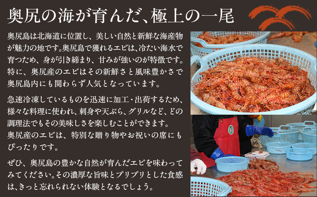 奥尻島産  冷凍縞エビ 250ｇ×3パック OKUJ005