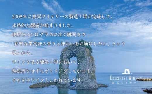 奥尻ワインメルロー（白）750ml OKUM016