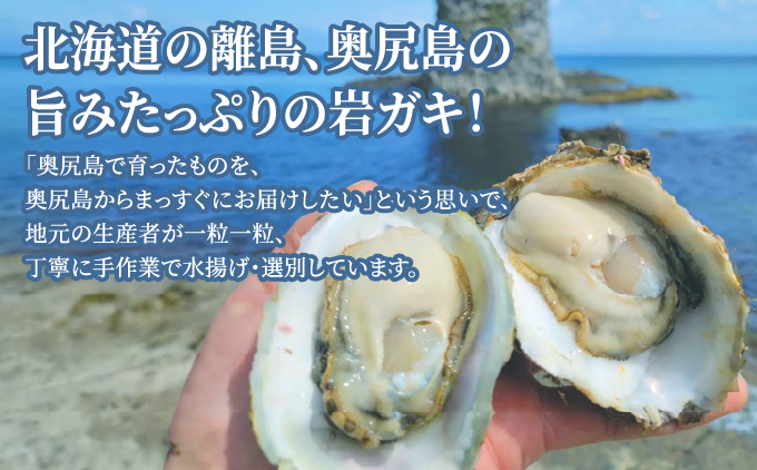 【先行予約 2026年7月20日より発送】奥尻島産養殖岩ガキ【Mサイズ】殻付き 10個入り（加熱食用）～豊かな海が育てた海の宝石～ | 冷蔵 | 北海道 奥尻町 送料無料 OKS13-003 Mサイズ 10個
