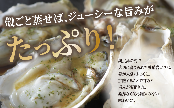 【先行予約 2026年7月20日より発送】奥尻島産養殖岩ガキ【Mサイズ】殻付き 10個入り（加熱食用）～豊かな海が育てた海の宝石～ | 冷蔵 | 北海道 奥尻町 送料無料 OKS13-003 Mサイズ 10個