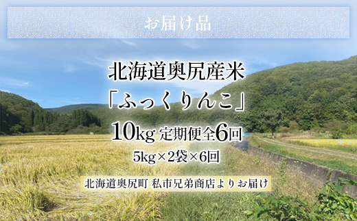 奥尻産米「ふっくりんこ」10kg入り（定期便 全６回） OKUI004