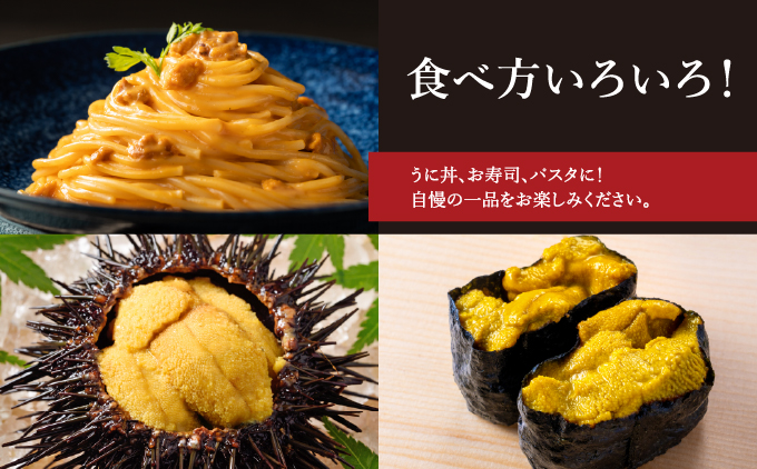 北海道奥尻産「キタムラサキウニ」50g (50g×1パック) 塩水パック | 北海道 奥尻町