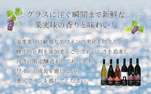 「奥尻ワイン」OKUSHIRI『メルロー2021　音響振動熟成』OKUM011