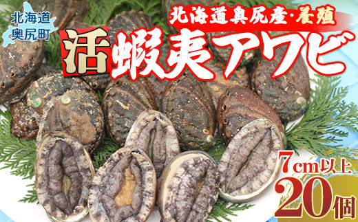 奥尻産活蝦夷アワビ（養殖）２０個入り 70mm以上 OKUF005