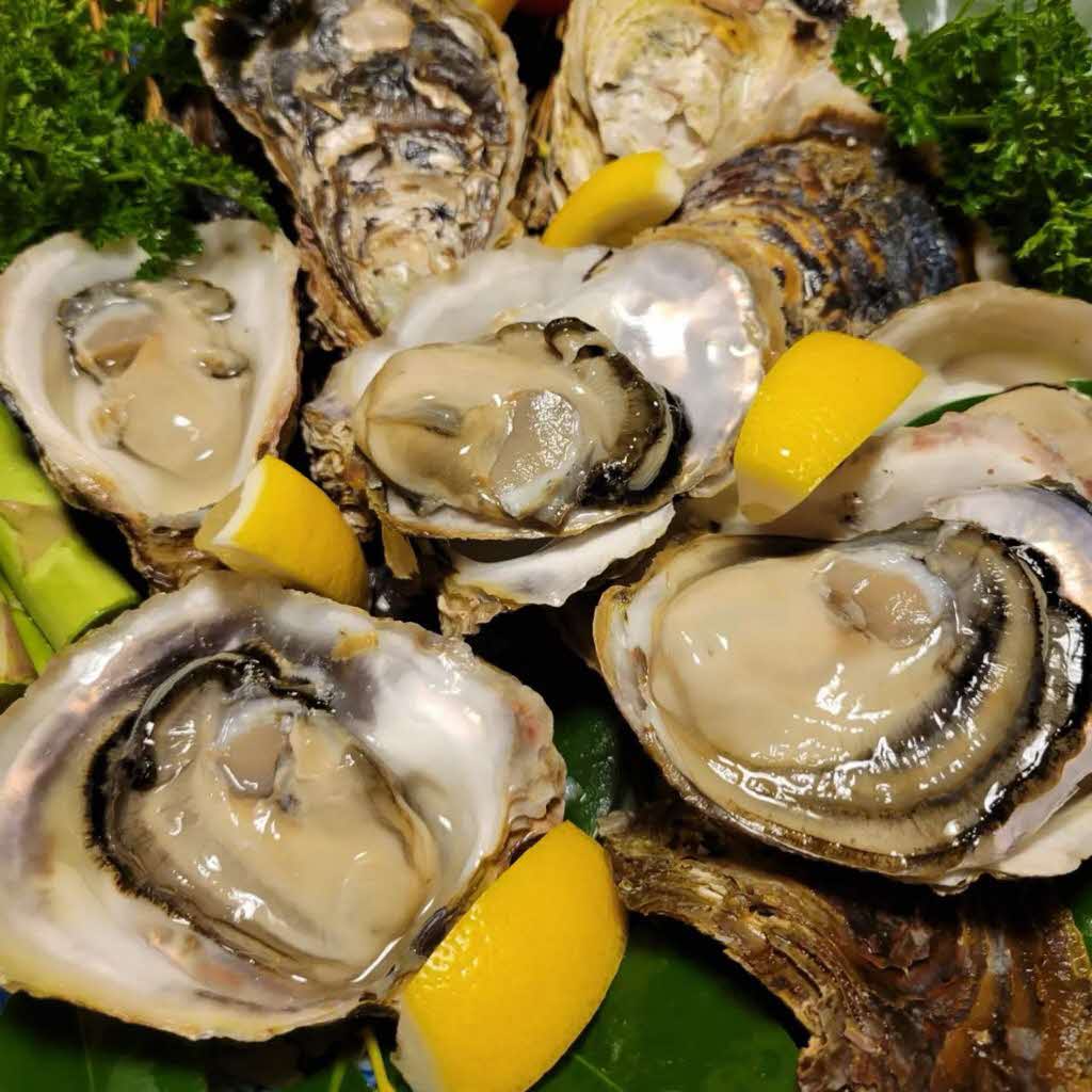 【先行予約 2025年7月20日より発送】奥尻島産養殖岩ガキ【Mサイズ】殻付き　30個入り（加熱食用）～豊かな海が育てた海の宝石～ OKUY003