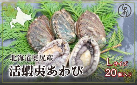 奥尻産活蝦夷アワビ（養殖）２０個入り 70mm以上