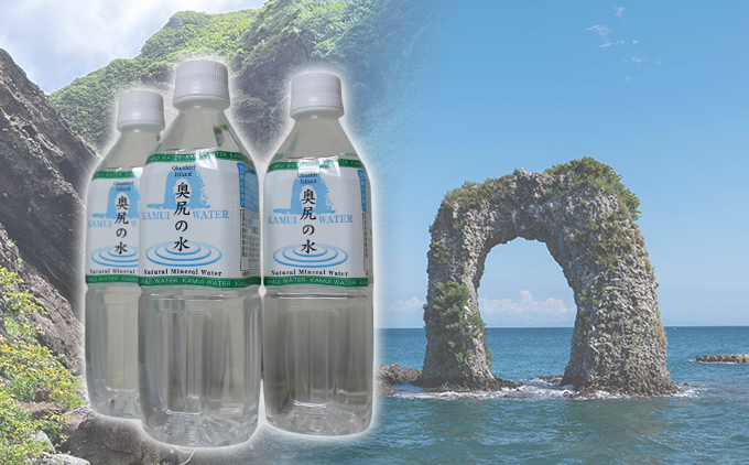 天然水 ～KAMUI WATER～「奥尻の水」500ml 24本 北海道 奥尻町
