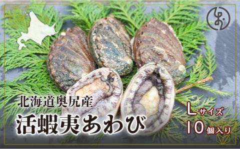 奥尻産活蝦夷アワビ（養殖）１０個入り 70mm以上 OKUF004