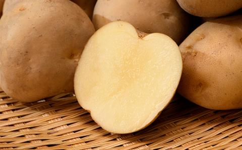 【先行予約】 2種計約8kg！今金町産男しゃく約4kg・今金町産玉ねぎ約4kg 北海道産 男爵 じゃがいも ジャガイモ ほくほく しっとり たまねぎ 玉ねぎ 野菜 常備野菜 セット 詰め合わせ F21W-397