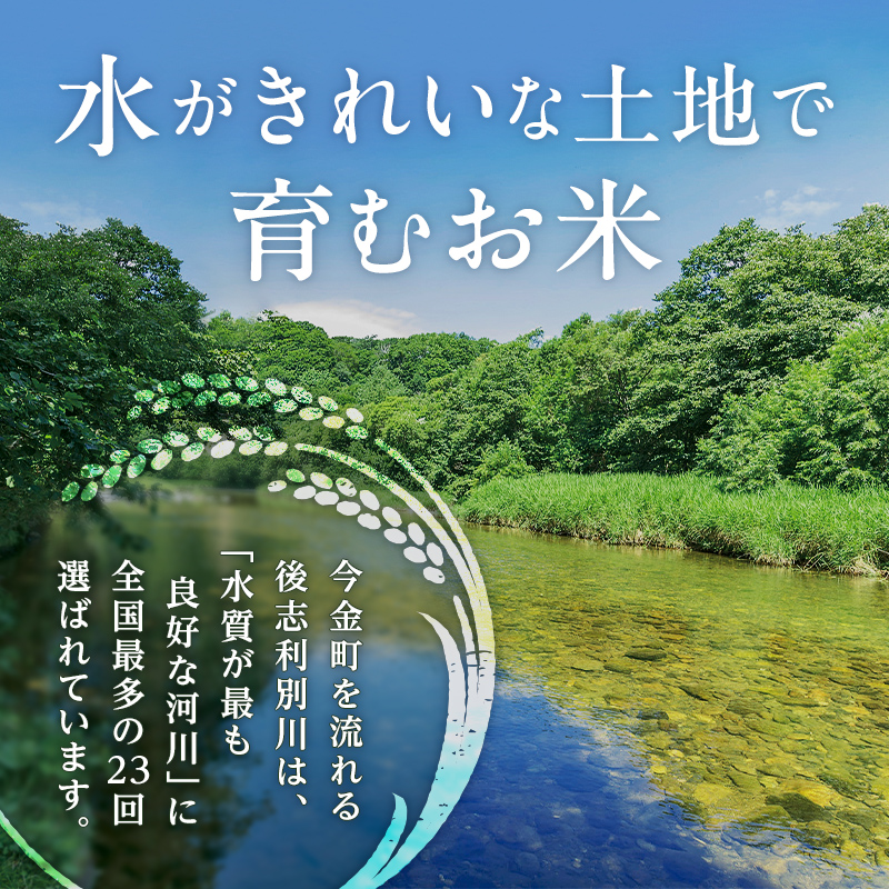 【2ヶ月連続お届け】令和6年産 今金産 ななつぼし 10kg 定期便 北海道 今金町産 米 白米 米俵 F21W-438
