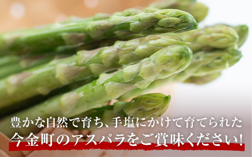 【先行予約】 朝採れ新鮮アスパラ 750g（2Lサイズ） (2026年3月下旬~6月中旬または2026年7月上旬~9月上旬頃発送) 野菜 秀品 北海道産 バーベキュー BBQ キャンプ 旬野菜 アスパラガス 栄養満点 冷蔵発送 F21W-459