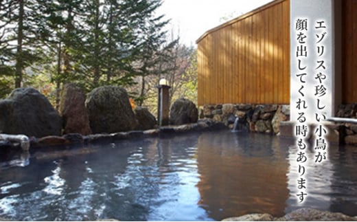 クアプラザピリカ　1泊2日御宿泊券（素泊まり）2名様分 F21W-401