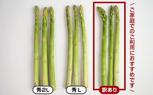 【先行予約】【訳あり】朝採れ新鮮アスパラ 1kg（S～2Lサイズ混合） (2026年3月下旬~6月中旬または2026年7月上旬~9月上旬頃発送) 野菜 北海道産 バーベキュー BBQ キャンプ 旬野菜 ワケあり わけあり アスパラガス 栄養満点 冷蔵発送 F21W-318