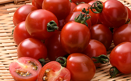 【訳あり】ミニトマト 約1kg (2S～3Lサイズ混合) トマト フルーツトマト 産地直送 甘いトマト 熟成トマト F21W-491