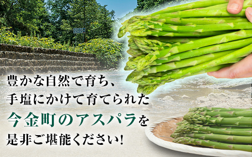 【先行予約】朝採れ新鮮アスパラ 750g（Mサイズ） (2026年3月下旬~6月中旬または2026年7月上旬~9月上旬頃発送) 野菜 秀品 北海道産 バーベキュー BBQ キャンプ 旬野菜 アスパラガス 栄養満点 冷蔵発送 F21W-457