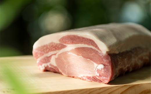 半島食堂『十八番』ギフトセット 米粉 麺 パスタソース ボロネーゼ ラー油 レトルト 簡単 時短 手軽 F21W-480