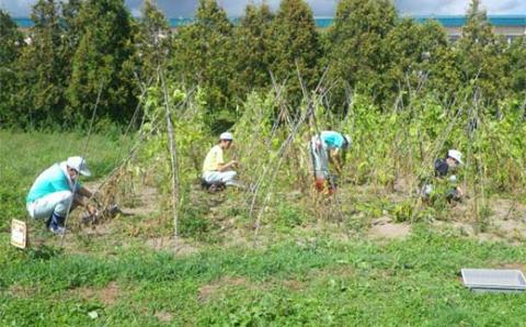 今金発スープづくりのセット【ふるさと納税×今金高等養護学校】F21W-290