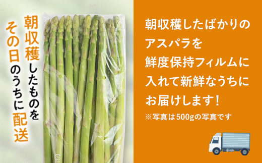 【先行予約】 朝採れ新鮮アスパラ 750g（2Lサイズ） (2026年3月下旬~6月中旬または2026年7月上旬~9月上旬頃発送) 野菜 秀品 北海道産 バーベキュー BBQ キャンプ 旬野菜 アスパラガス 栄養満点 冷蔵発送 F21W-459