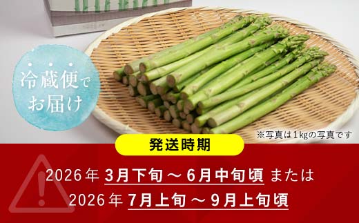 【先行予約】朝採れ新鮮アスパラ 1.5kg（2Lサイズ） (2026年3月下旬~6月中旬または2026年7月上旬~9月上旬頃発送) 野菜 秀品 北海道産 バーベキュー BBQ キャンプ 旬野菜 アスパラガス 栄養満点 冷蔵発送 F21W-456
