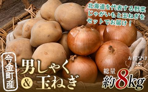 【先行予約】 2種計約8kg！今金町産男しゃく約4kg・今金町産玉ねぎ約4kg 北海道産 男爵 じゃがいも ジャガイモ ほくほく しっとり たまねぎ 玉ねぎ 野菜 常備野菜 セット 詰め合わせ F21W-397
