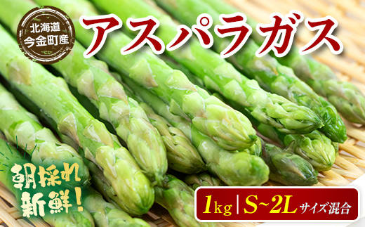 【先行予約】【訳あり】朝採れ新鮮アスパラ 1kg（S～2Lサイズ混合） (2026年3月下旬~6月中旬または2026年7月上旬~9月上旬頃発送) 野菜 北海道産 バーベキュー BBQ キャンプ 旬野菜 ワケあり わけあり アスパラガス 栄養満点 冷蔵発送 F21W-318