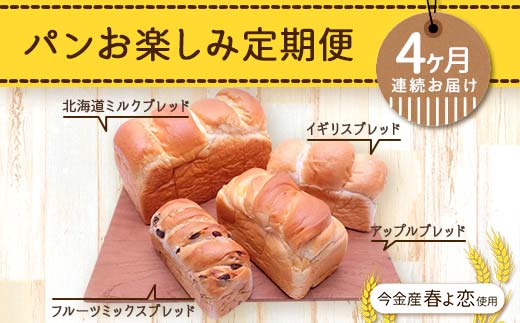 【4ヶ月連続お届け】パンお楽しみ定期便 F21W-467