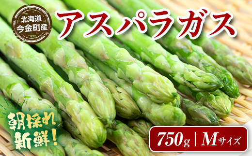 【先行予約】朝採れ新鮮アスパラ 750g（Mサイズ） (2026年3月下旬~6月中旬または2026年7月上旬~9月上旬頃発送) 野菜 秀品 北海道産 バーベキュー BBQ キャンプ 旬野菜 アスパラガス 栄養満点 冷蔵発送 F21W-457