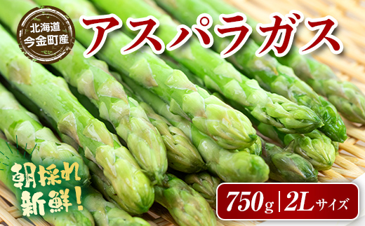 【先行予約】 朝採れ新鮮アスパラ 750g（2Lサイズ） (2026年3月下旬~6月中旬または2026年7月上旬~9月上旬頃発送) 野菜 秀品 北海道産 バーベキュー BBQ キャンプ 旬野菜 アスパラガス 栄養満点 冷蔵発送 F21W-459