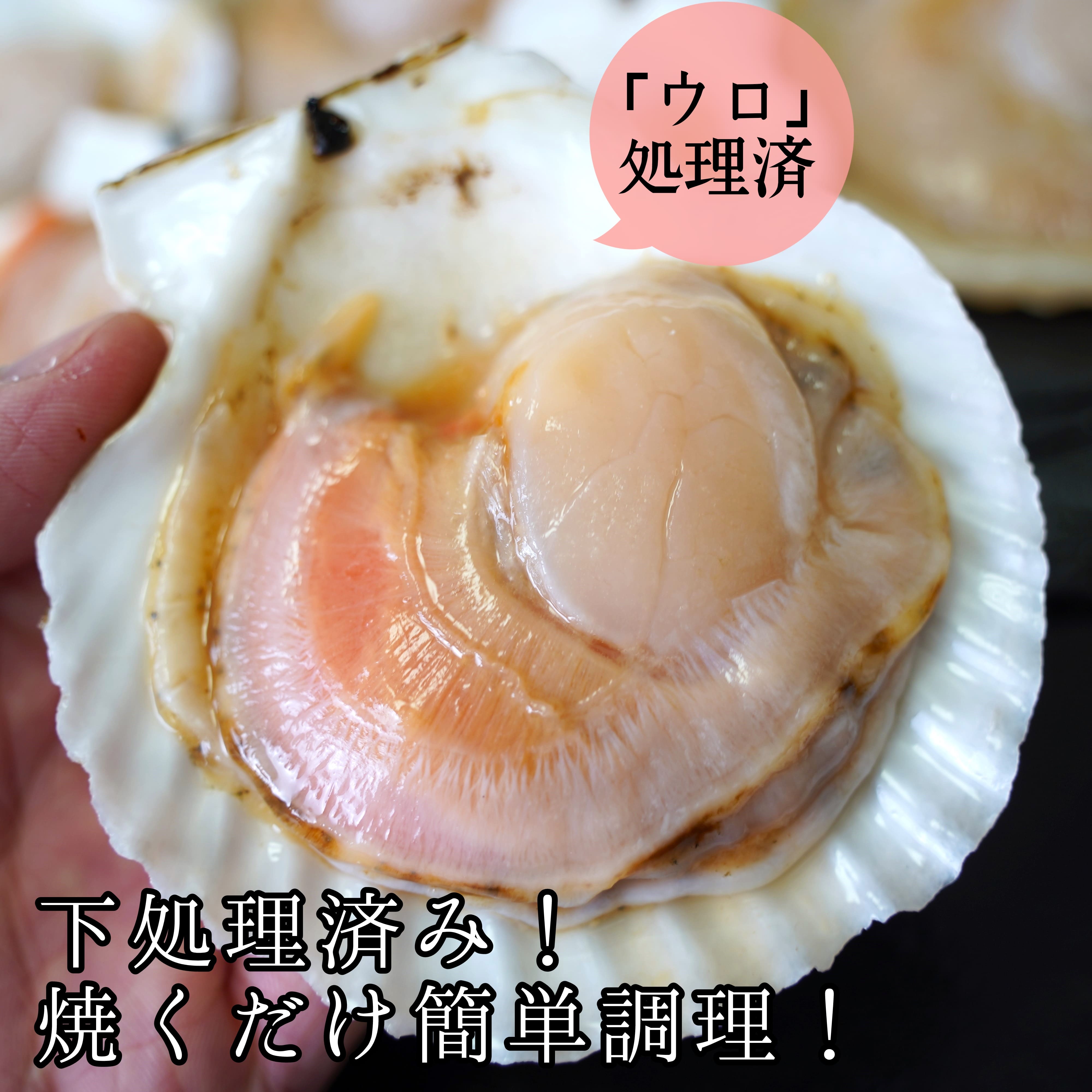 【海鮮BBQにおすすめ】北海道産 ほたて片貝 20枚 ウロ処理済み 洗浄済み殻つき 下処理済 バター焼き ご飯 冷凍 旬 おつまみ 海鮮 せたな町 ふるさと納税