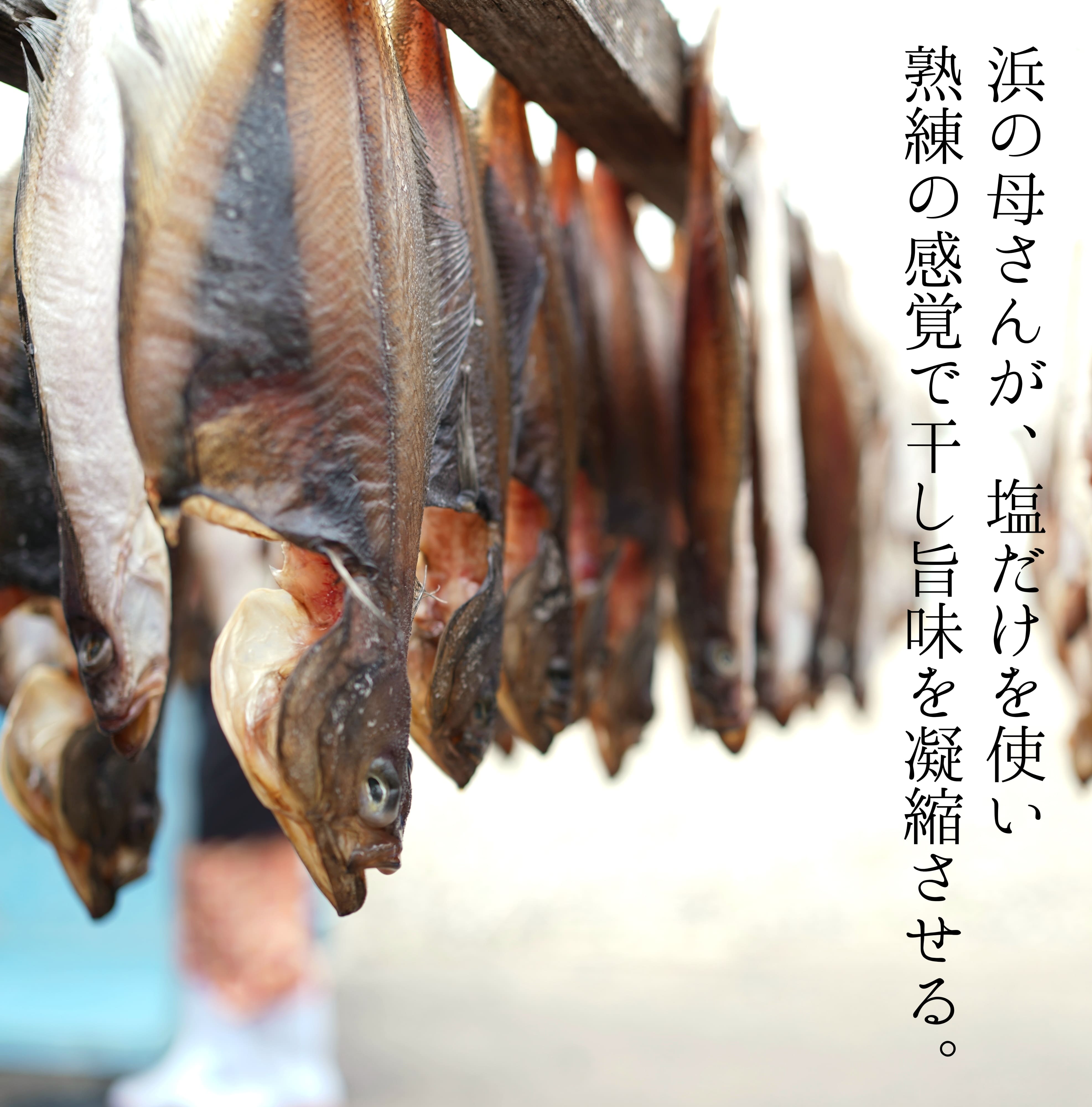 【リピーター続出！】北海道産 宗八かれい 大サイズ10枚(約2kg) カレイ 一夜干し 漁師直送 干物 煮付け 塩焼き 唐揚げ 海鮮 せたな町 ふるさと納税