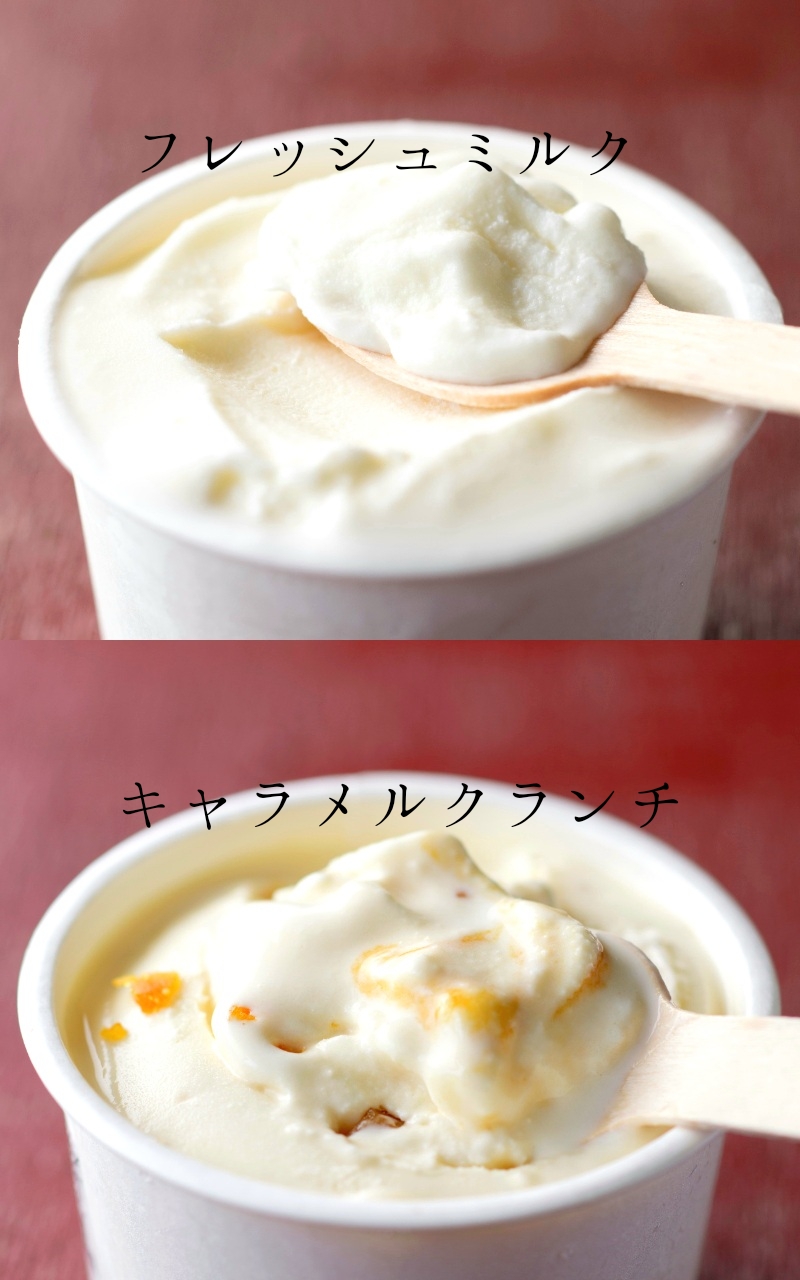 【北海道産搾りたて生乳使用】ひらかわ牧場のアイスクリーム おすすめ2種12個セット フレッシュミルク キャラメルクランチ デザート スイーツ お取り寄せ ギフト せたな町 ふるさと納税