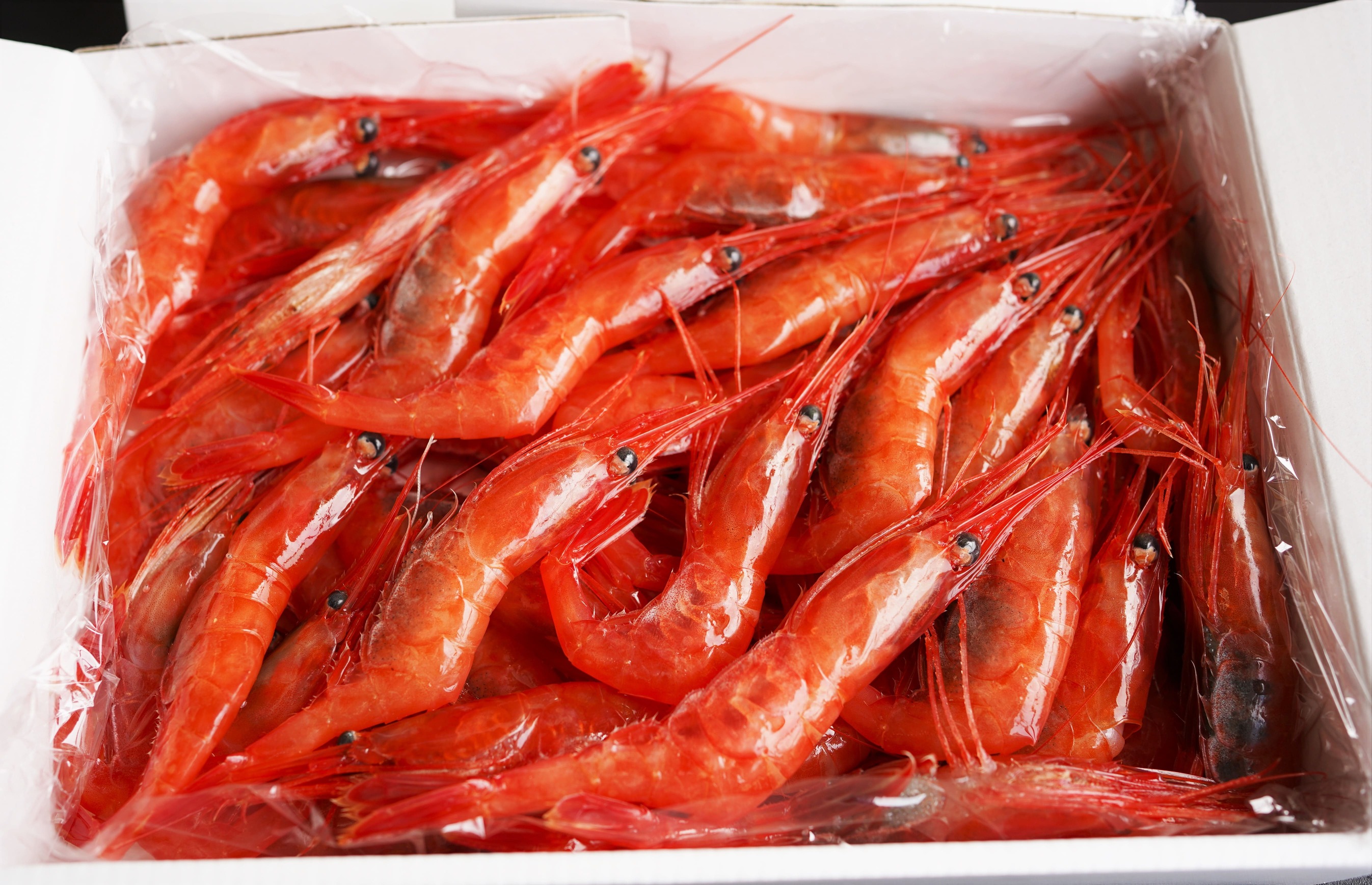 【漁師直送】北海道産 甘えび Mサイズ1kg お刺身 唐揚げ 丼 味噌汁 寿司 冷凍 天ぷら 旬 海鮮 せたな町 ふるさと納税