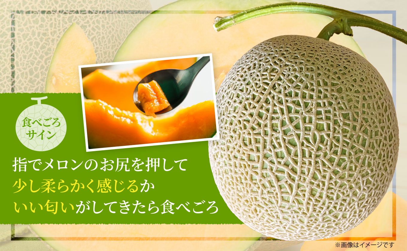 【2026年8月上旬から順次発送】【北海道産極旨メロン】妃メロン 4玉 メロン 旬 野菜 赤肉 ジュース アールスメロン 産地直送 せたな町 ふるさと納税