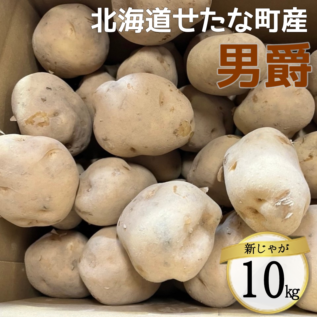 【2026年10下旬から順次発送】【令和8年産】北海道 せたな町産 男爵 10kg 男爵いも 芋 新じゃが じゃがいも 野菜 ふるさと納税